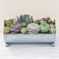 14" Succulent Centerpiece Table Decor Gift