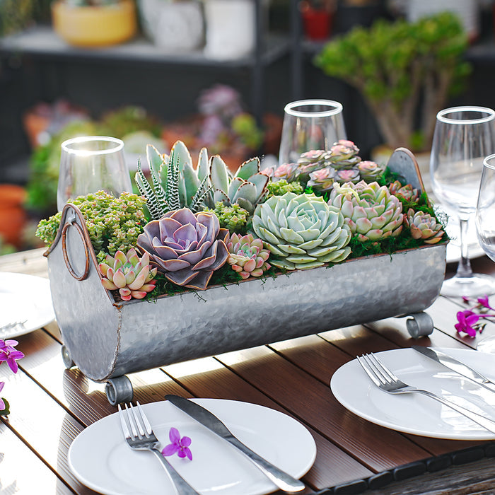 14" Succulent Centerpiece Table Decor Gift