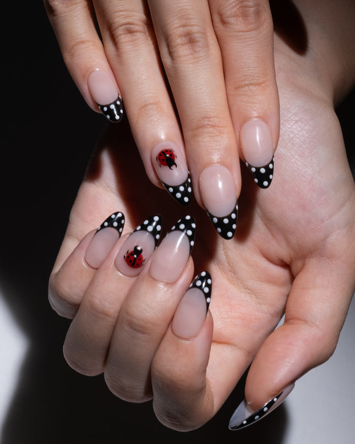 Ladybug