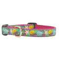 REEF-DOG-COLLAR-SMALL-BREED-TEACUP