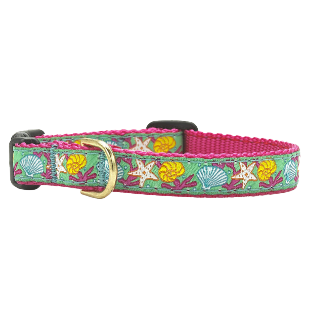 REEF-DOG-COLLAR-SMALL-BREED-TEACUP